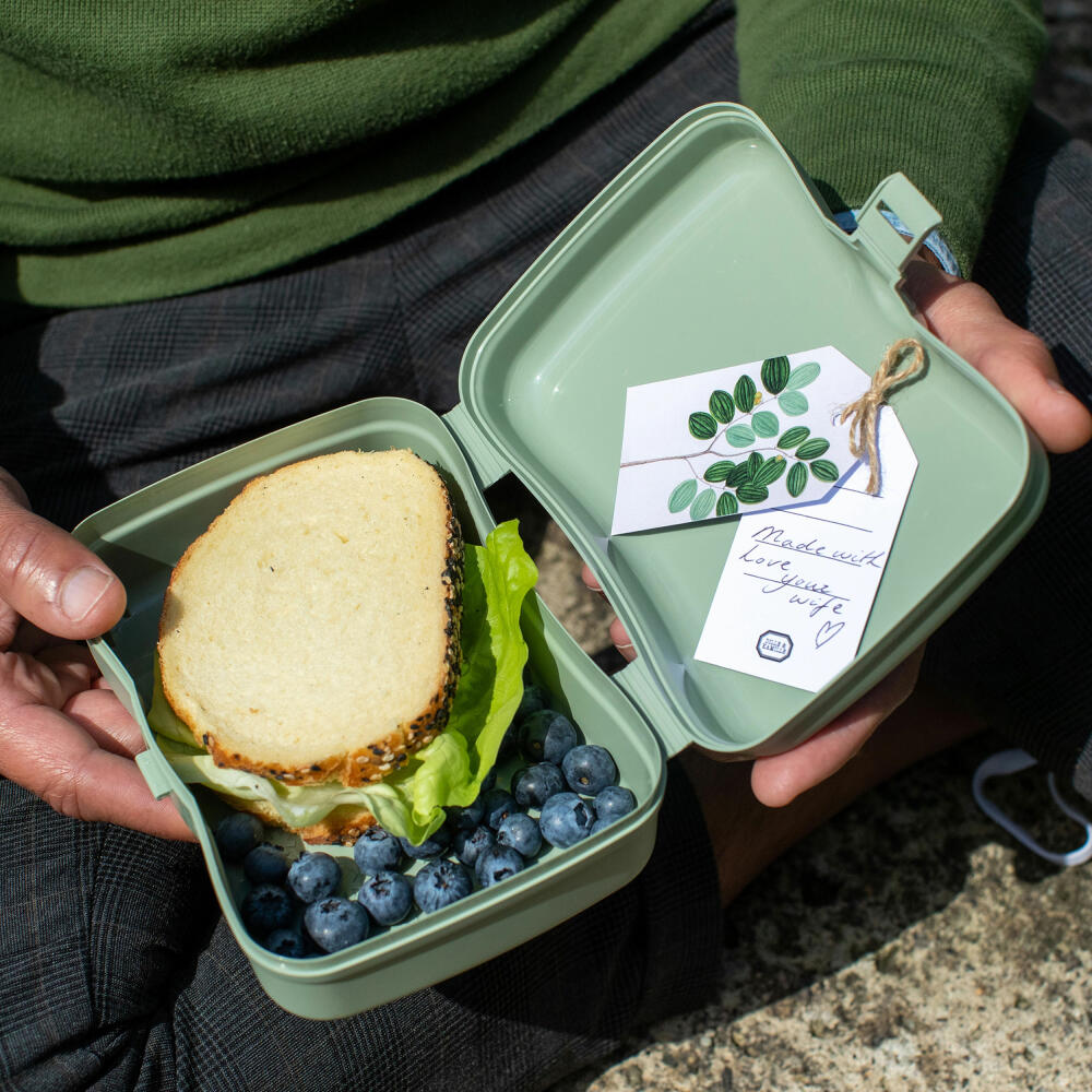 Koziol Lunchbox Basic, Brotdose, Speisegefäß, Brotbox, Thermoplastischer Kunststoff, Organic Green, 3081668