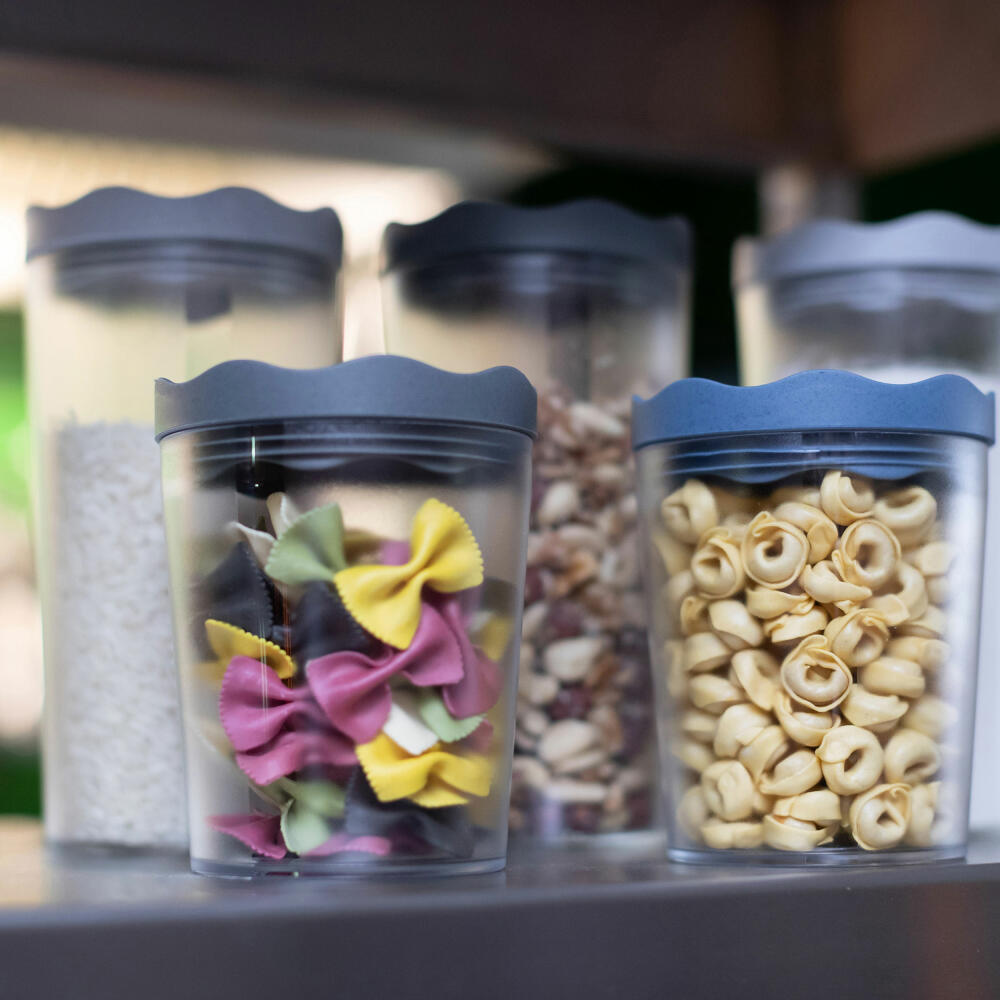 Koziol storage container 750ml Prince M, storage container, container, thermoplastic, Organic Deep Blue, 3085675