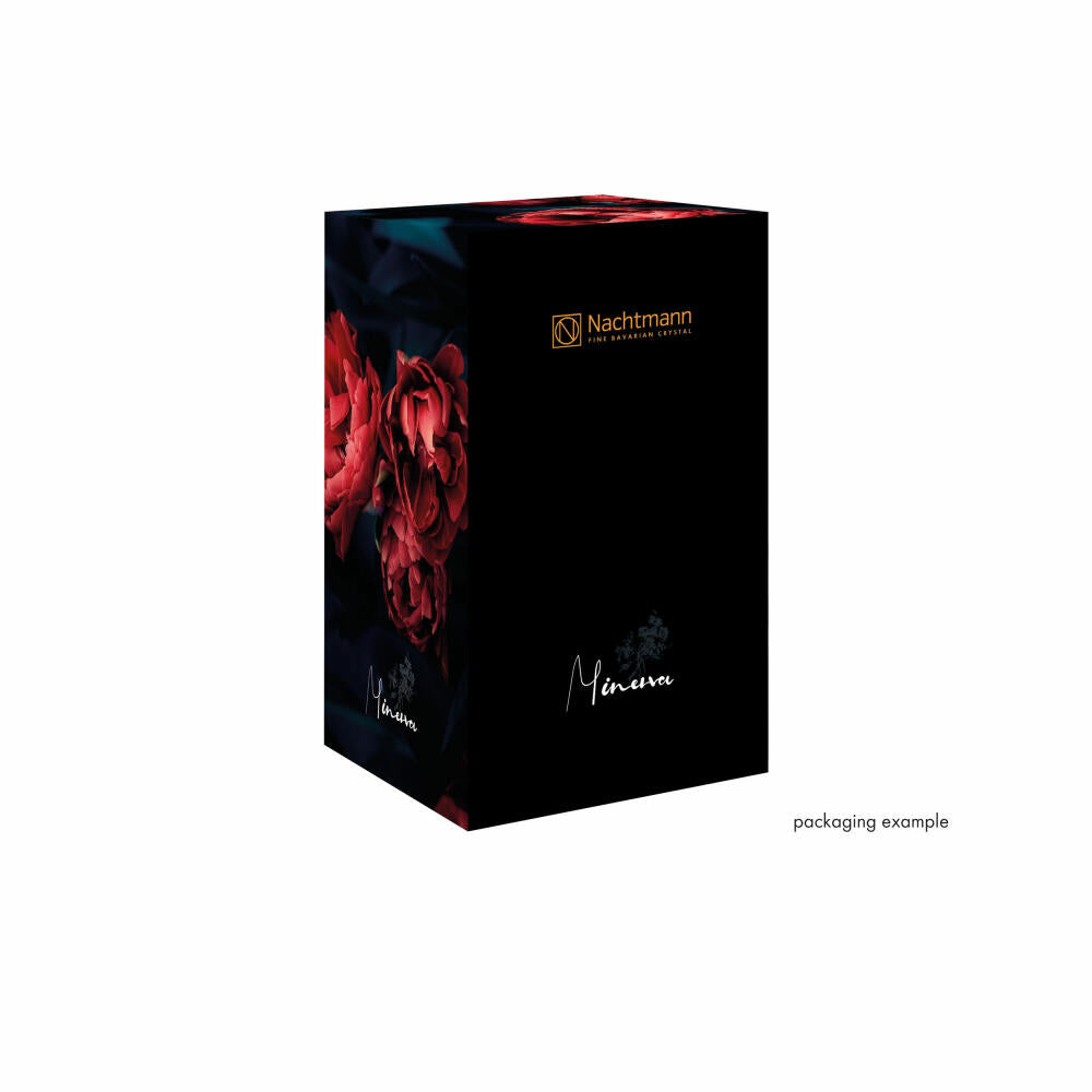 Nachtmann Vase Minerva Platinum on foot, crystal glass, clear / platinum, 40 cm, 104165