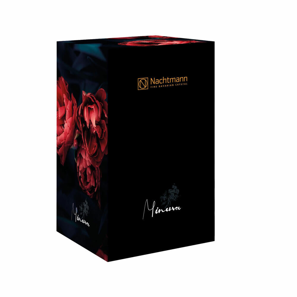 Nachtmann Vase Minerva Platinum on foot, crystal glass, clear / platinum, 31.5 cm, 104161