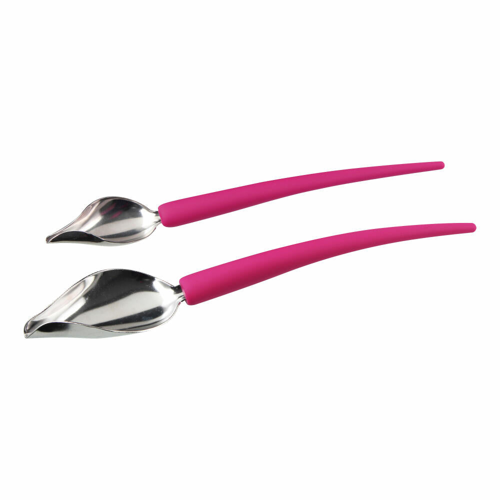 Fackelmann FMprofessional Déco-Spoon, 2-tlg., Dekorierlöffel, Dekor Löffel, 21590