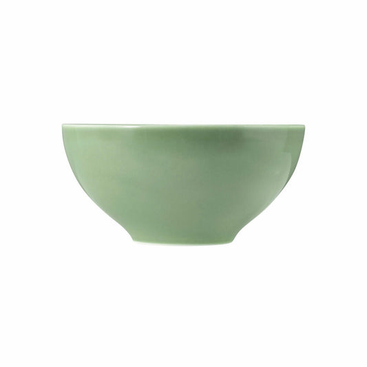 Seltmann Weiden Beat Salbeigrün Schüssel Rund, Schale, Müslischüssel, Suppenschüssel, Porzellan, Grün, Ø 15.5 cm, 001.751329