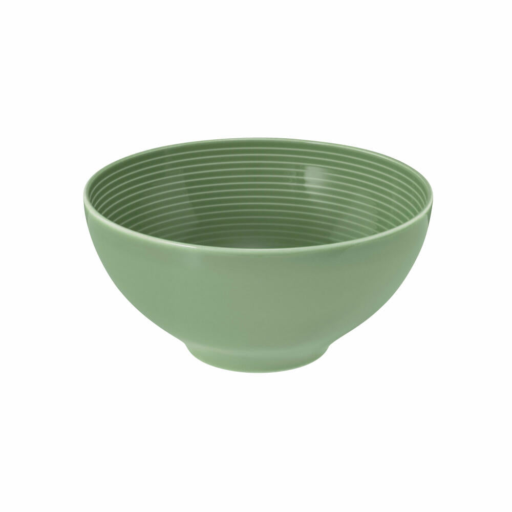 Seltmann Weiden Beat Salbeigrün Schüssel Rund, Schale, Müslischüssel, Suppenschüssel, Porzellan, Grün, Ø 15.5 cm, 001.751329