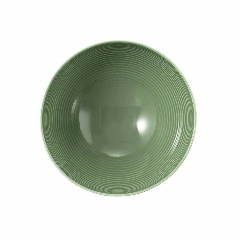 Seltmann Weiden Beat Salbeigrün Schüssel Rund, Schale, Müslischüssel, Suppenschüssel, Porzellan, Grün, Ø 15.5 cm, 001.751329