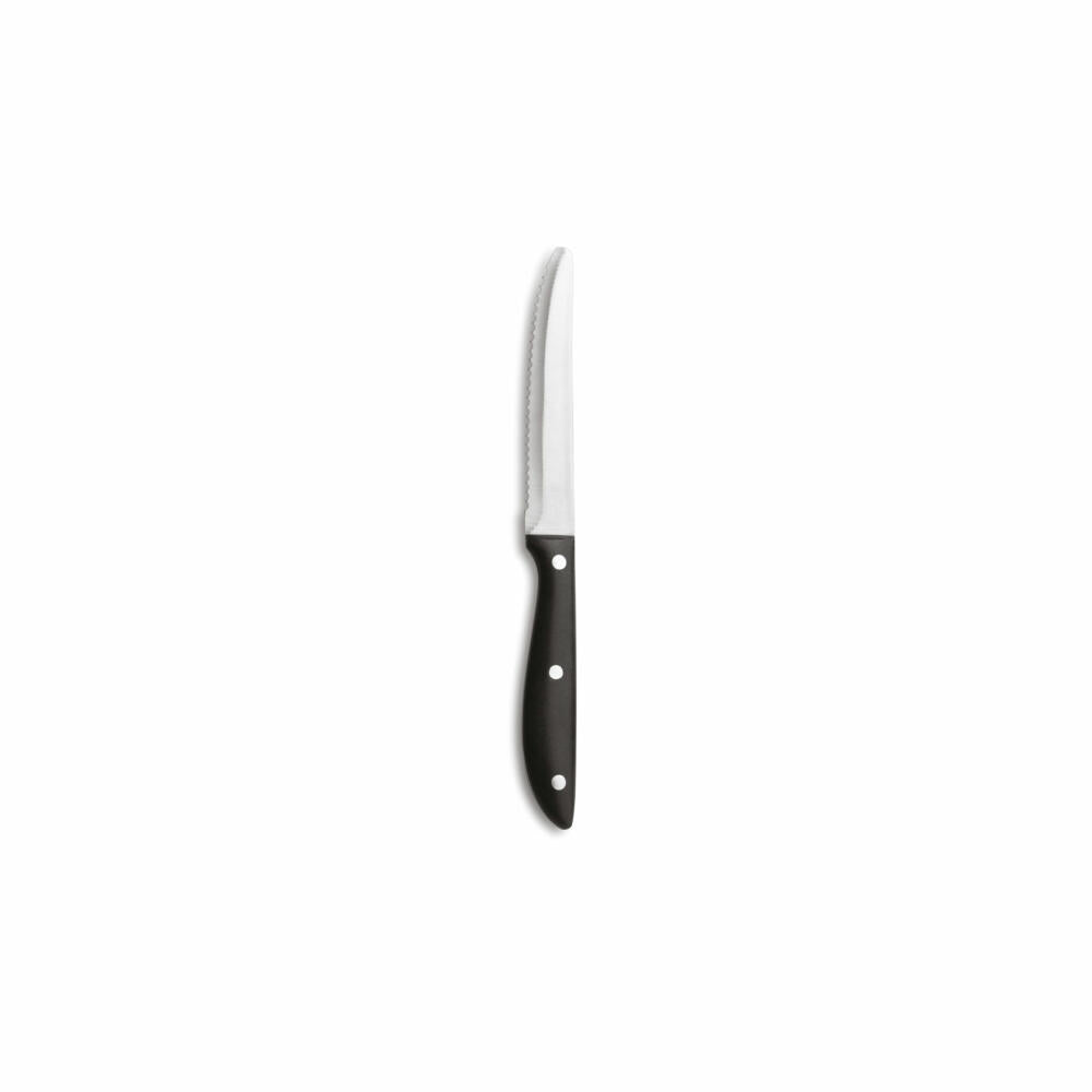 Comas Steakmesser Classic Eco 6er Set, Fleischmesser, Edelstahl, POM, Schwarz, 7787