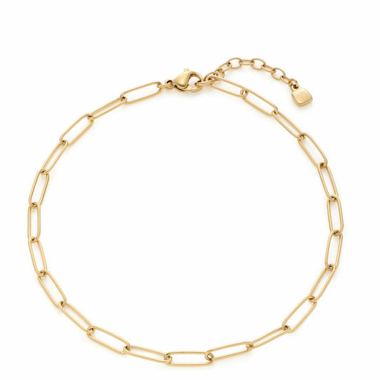 Leonardo Jewels Fußkettchen Igana Ciao, Fußkette, Fuß Kettchen, Schmuck, Edelstahl IP gold, Mehrfarbig, 021863