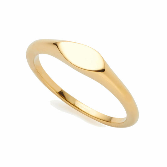 Leonardo Jewels Ring Lovis Ciao, Fingerring, Schmuck, Edelstahl, Golden, Größe 18, 022141