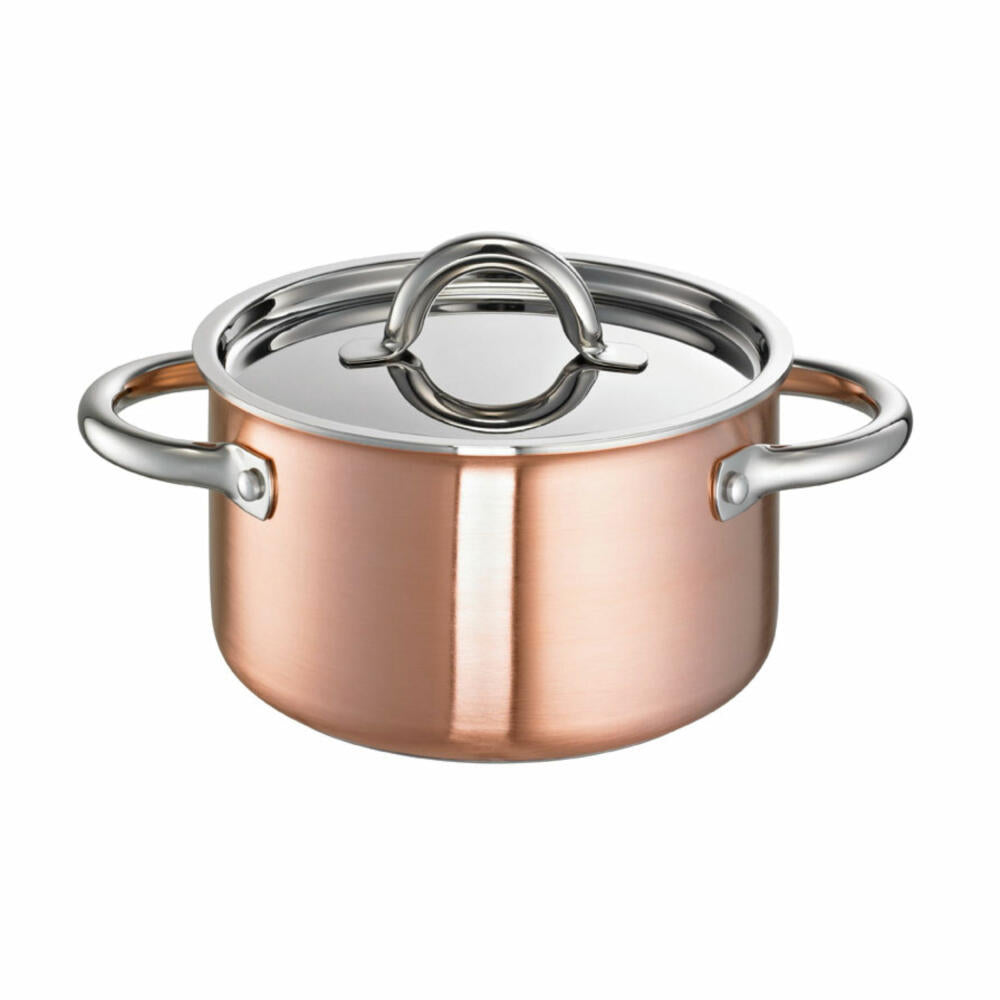 Schulte-Ufer meat pot De Luxe i, casserole, cooking pot, stainless steel 18/10, 20 cm, 3.5 L, 9510-20 i