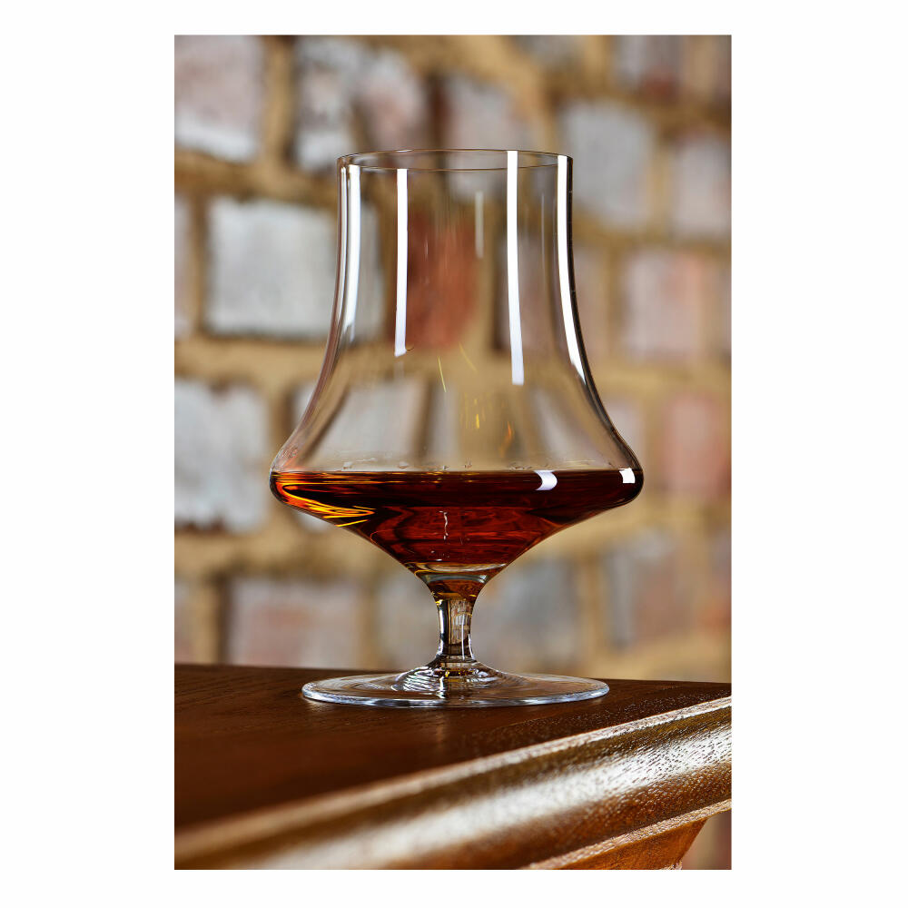 Spiegelau Willsberger Anniversary Whisky, 4er Set, Whiskyglas, Glas, Kristallglas, 340 ml, 1416186