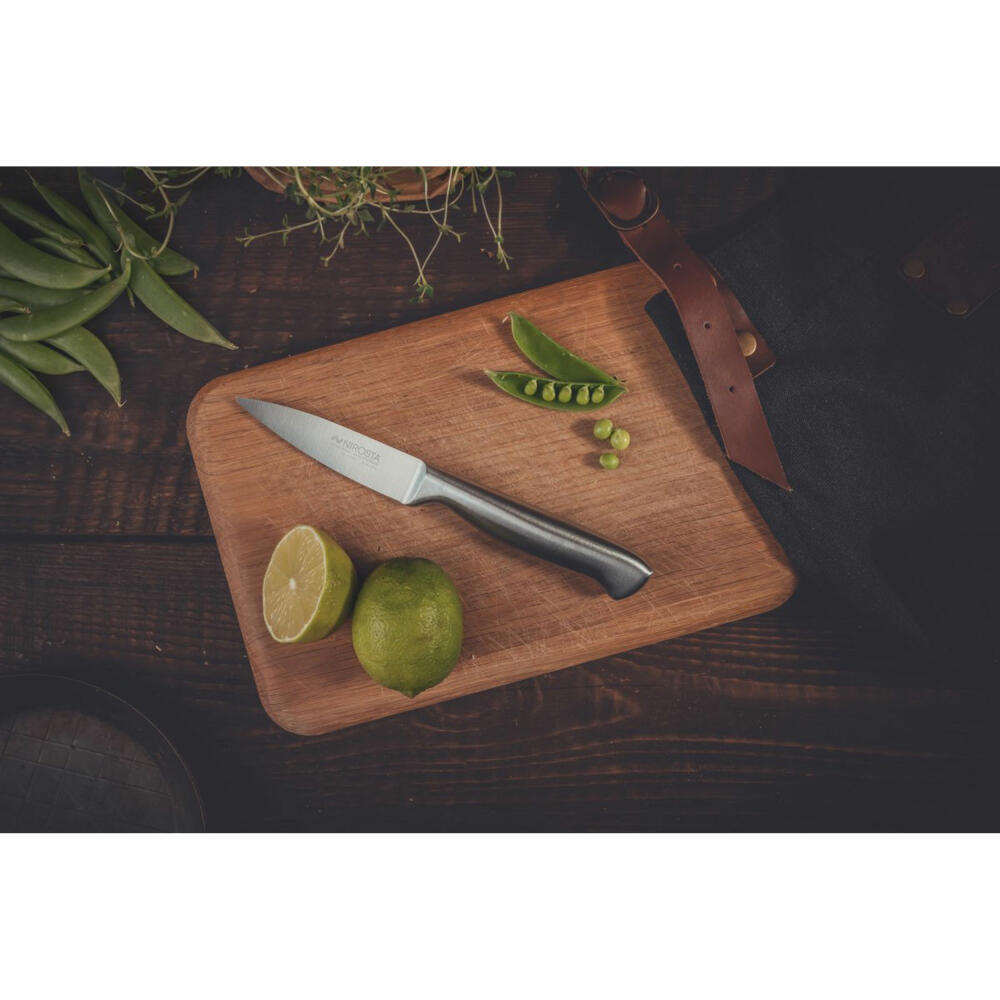 Nirosta vegetable knife Star, kitchen knife, stainless steel, silver, 8.5 cm blade length, 41836