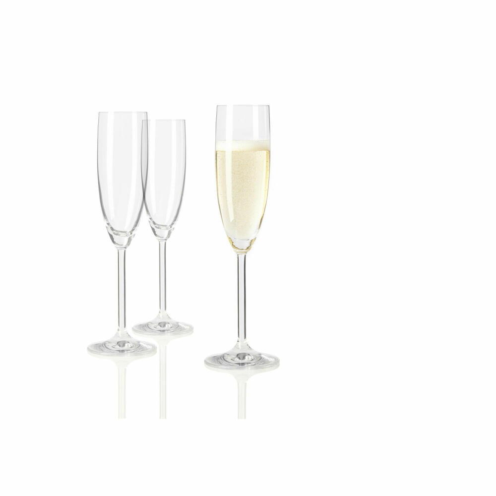 Leonardo Daily Sektglas, Champagnerglas, Proseccoglas, Glas, 210 ml, 63314