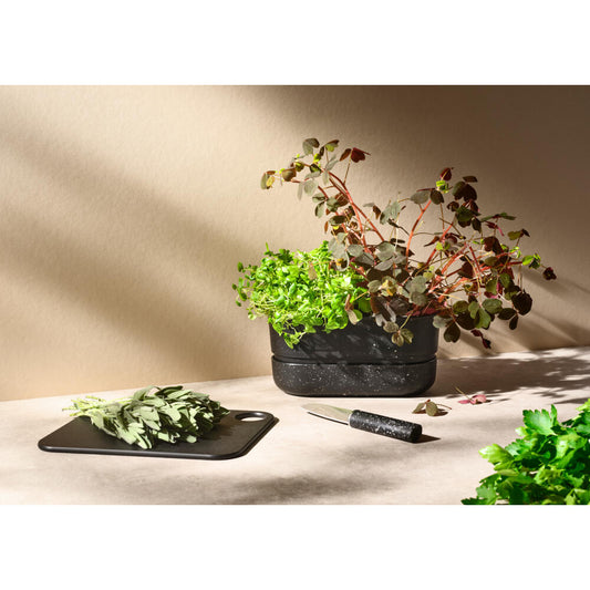 RIG-TIG Kräutertopf Pot-It, Pflanztopf, Blumentopf, Kunststoff, Black, Z00128