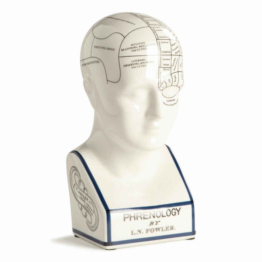 Authentic Models Decorative Figure Phrenology Head Large, Desk Decoration, Decoration, MG020