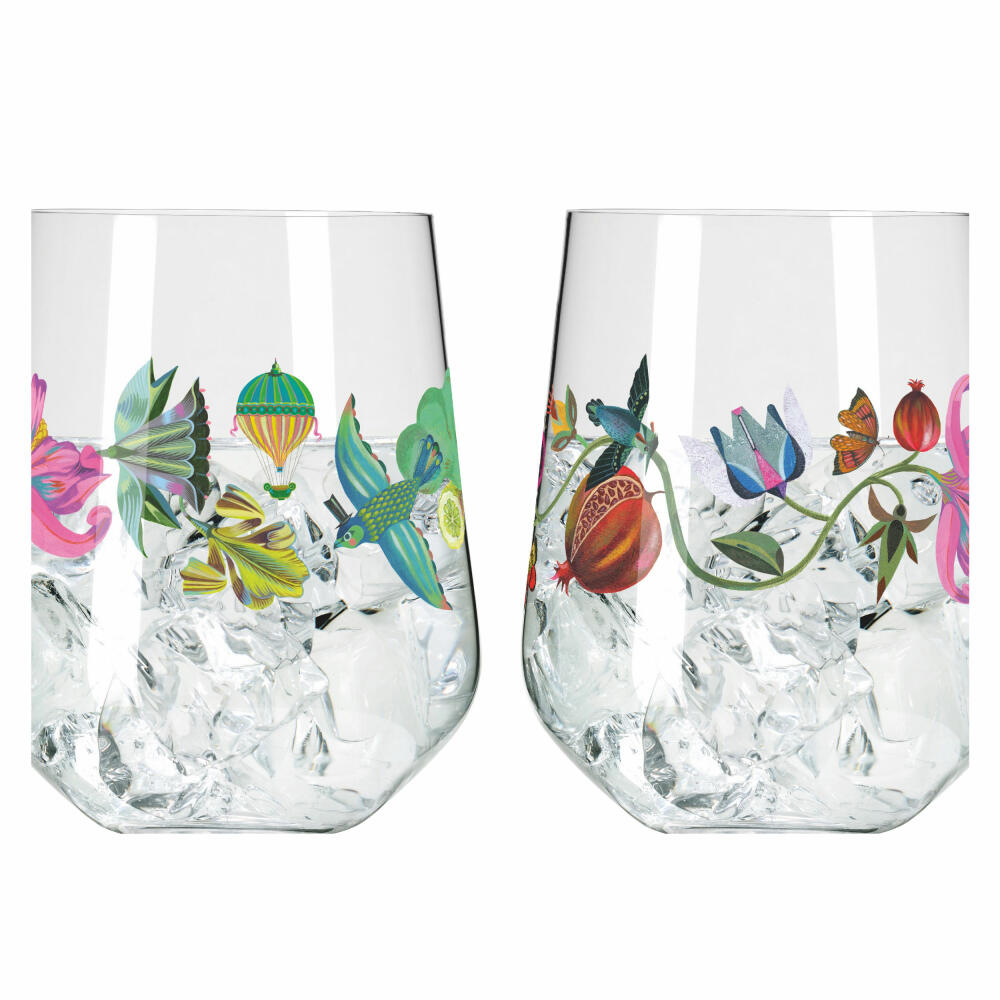 Ritzenhoff Botanic Lights Gin Tumbler 009 010 F24, 2er Set, Olaf Hajek, Ginglas, Kristallglas, 710 ml, 3891002