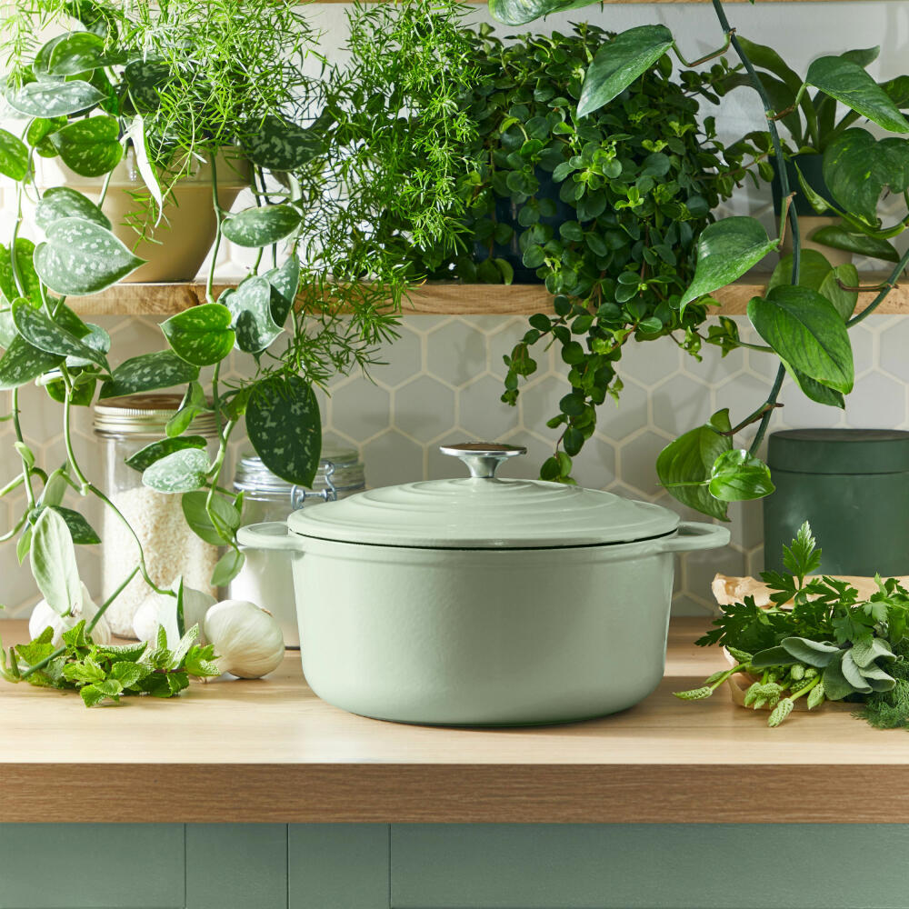 Tefal Lov Kochtopf, Gusseisentopf, Topf, Schmortopf, Induktionsgeeignet, Gusseisen, Hellgrün, Ø 25 cm, E25804