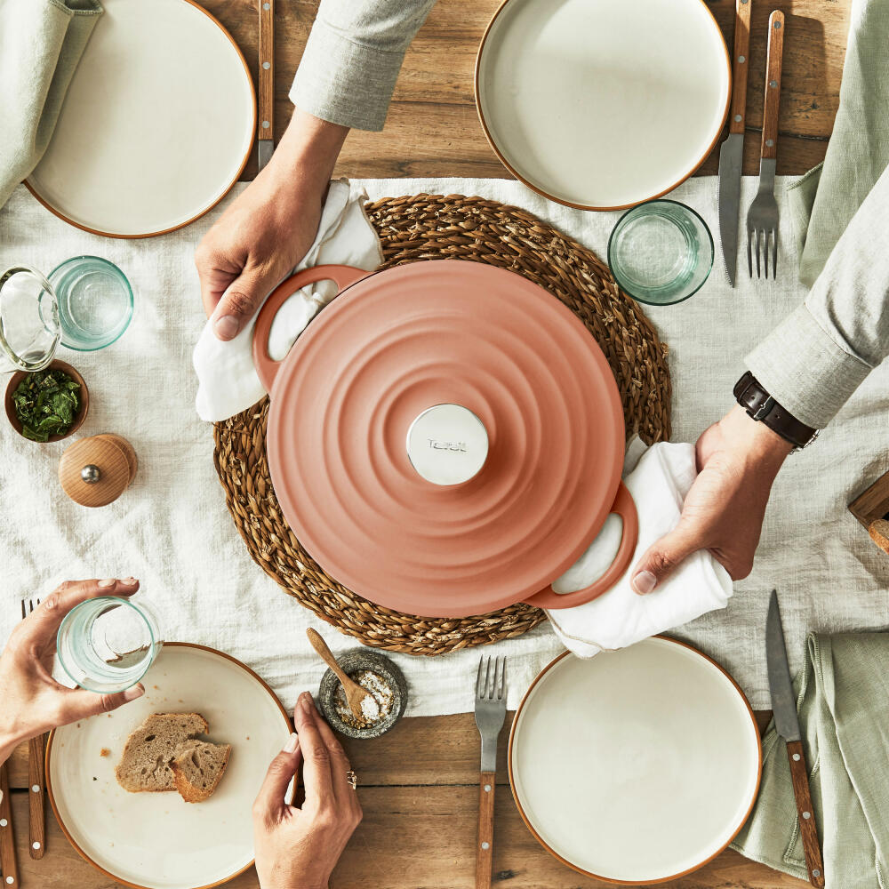 Tefal Lov Kochtopf, Gusseisentopf, Topf, Schmortopf, Induktionsgeeignet, Gusseisen, Terracotta Orange, Ø 25 cm, E26004