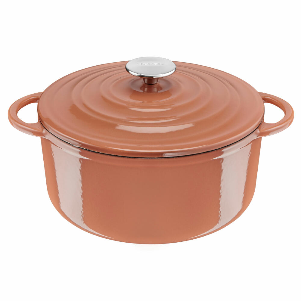 Tefal Lov Kochtopf, Gusseisentopf, Topf, Schmortopf, Induktionsgeeignet, Gusseisen, Terracotta Orange, Ø 25 cm, E26004