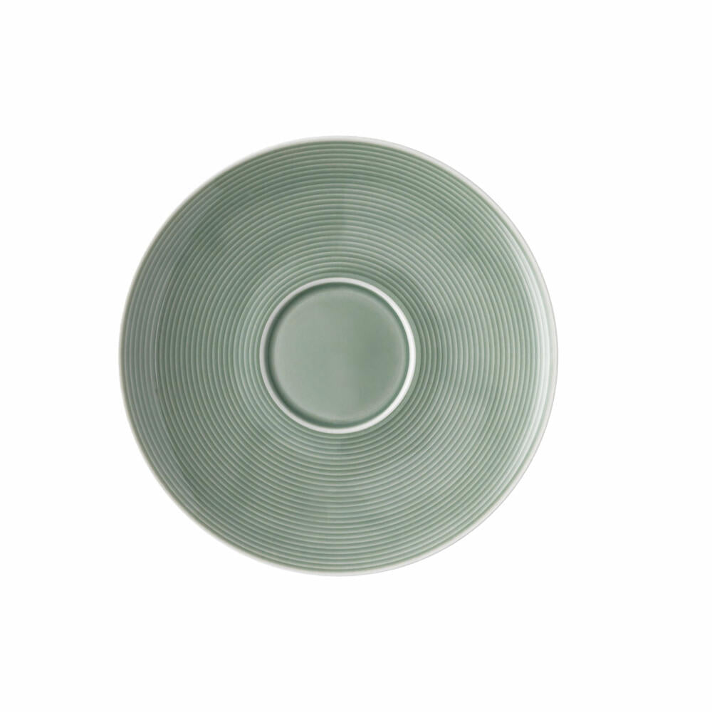 Thomas Kombi-Untertasse Loft Colour - Moss Green, Unterteller, Untere, Porzellan, Grün, 18 cm, 11900-401925-14771