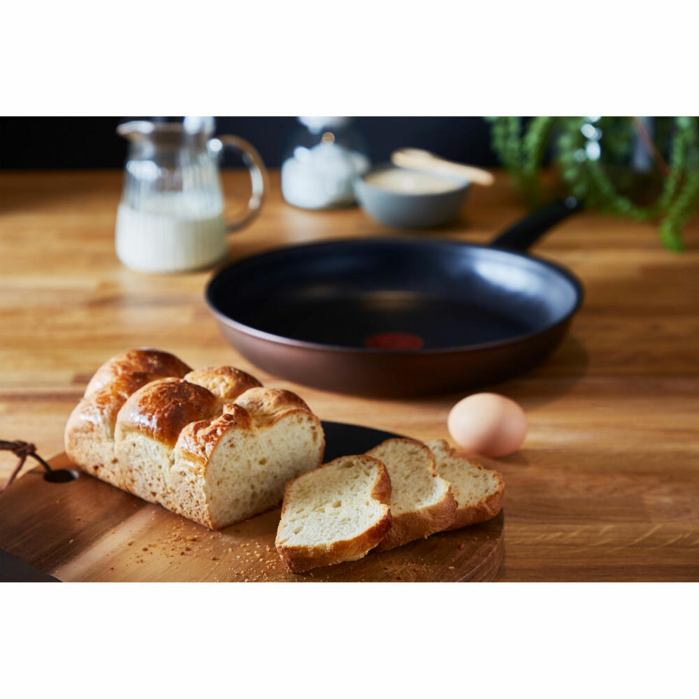 Tefal Resource pan, frying pan, induction-suitable, aluminum, Ø 24 cm, G25304