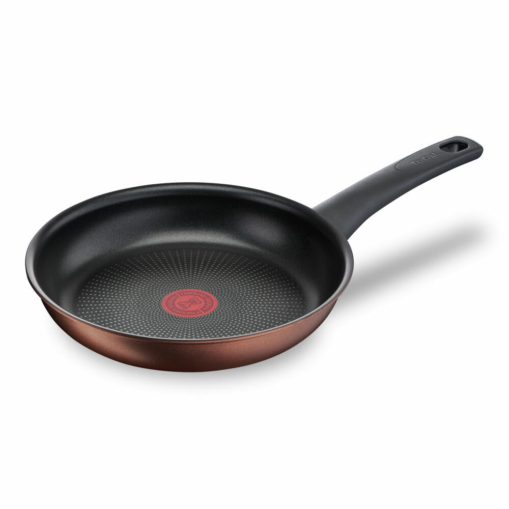 Tefal Resource pan, frying pan, induction-suitable, aluminum, Ø 24 cm, G25304