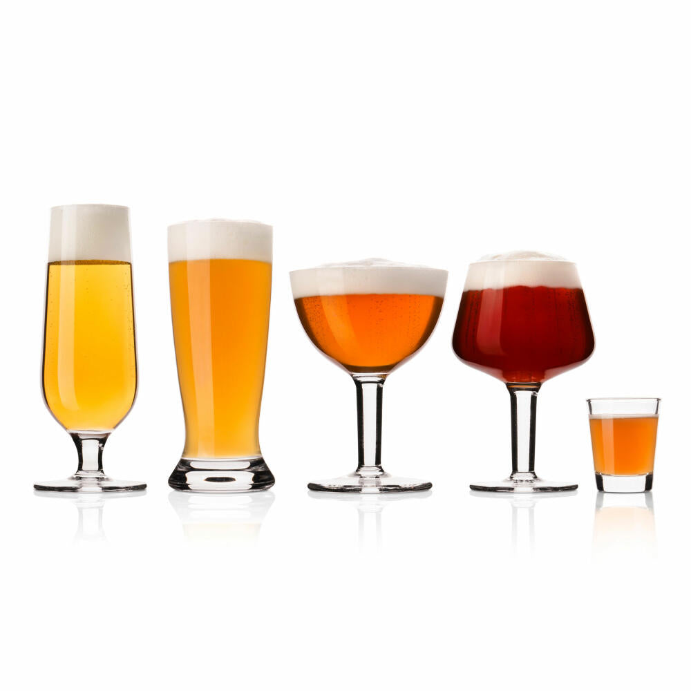 Vacu Vin beer tasting glass set 5-piece with notepad, beer glasses, tasting glass, glass, transparent, 76440604