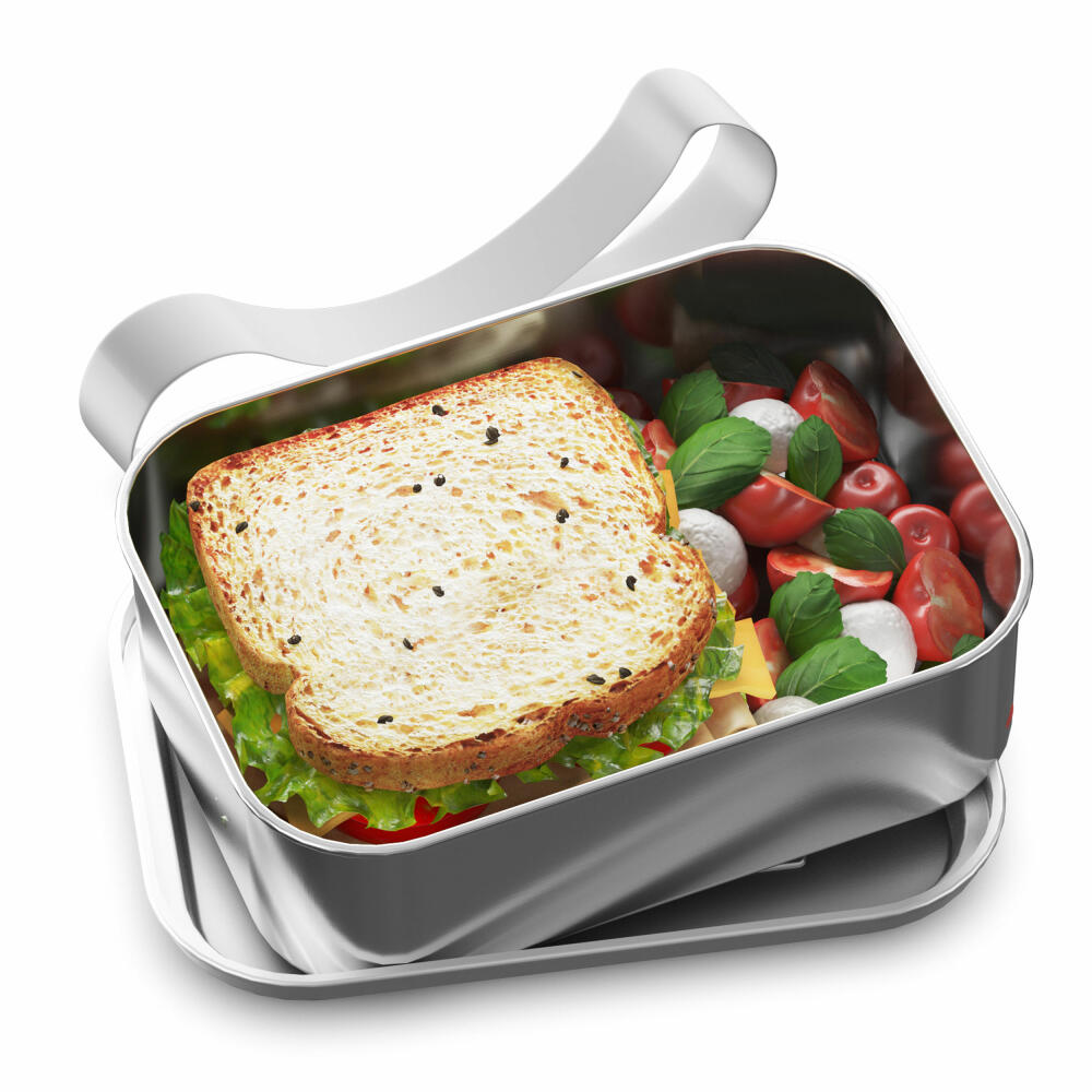 Thermos lunch box TC Sandwich Box, lunch box, stainless steel, Stainless Steel Matt, 1 L, 4167205120