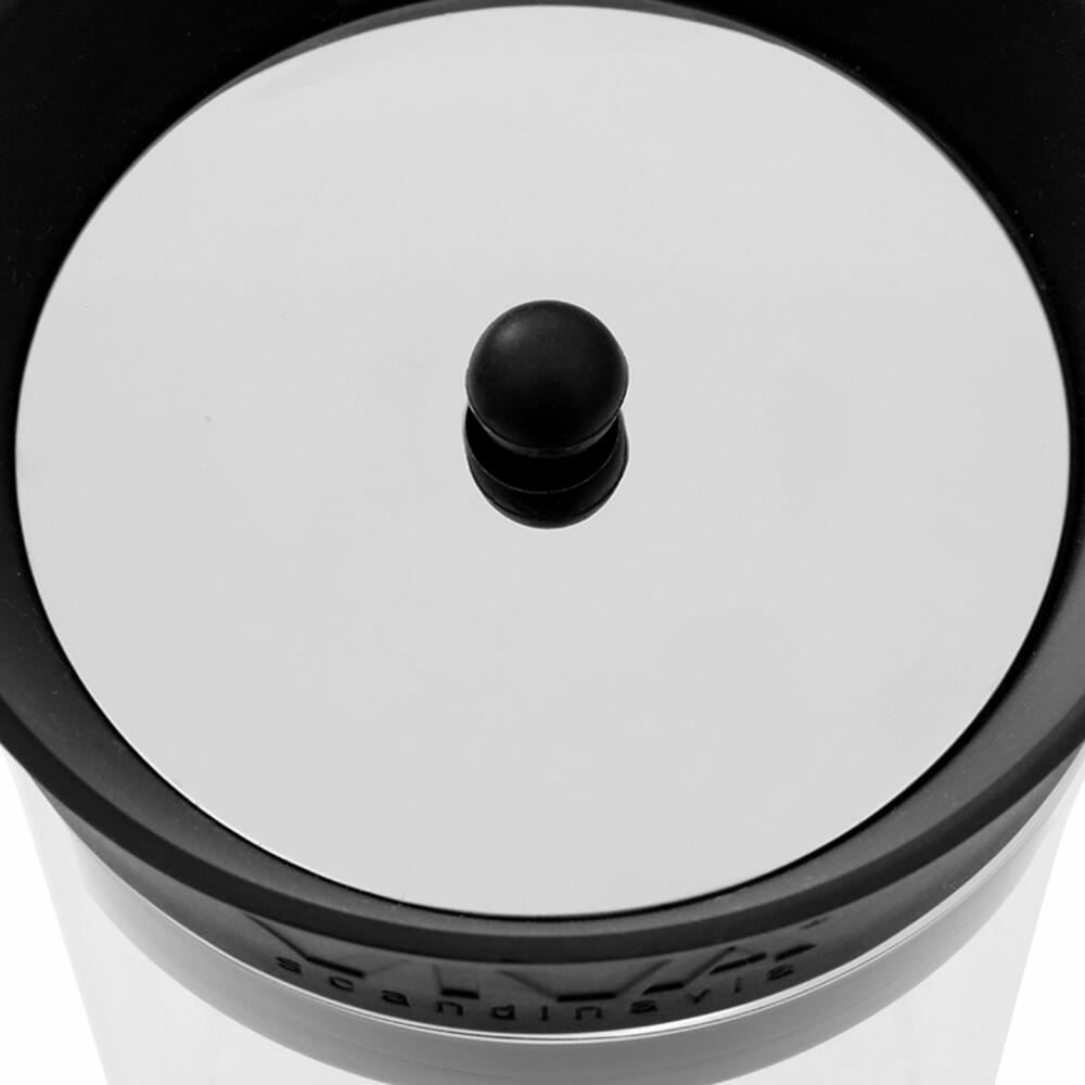 VIVA Minima glass carafe with filter for cold brew tea, carafe, teapot, jug, borosilicate glass, 1 L, V76901