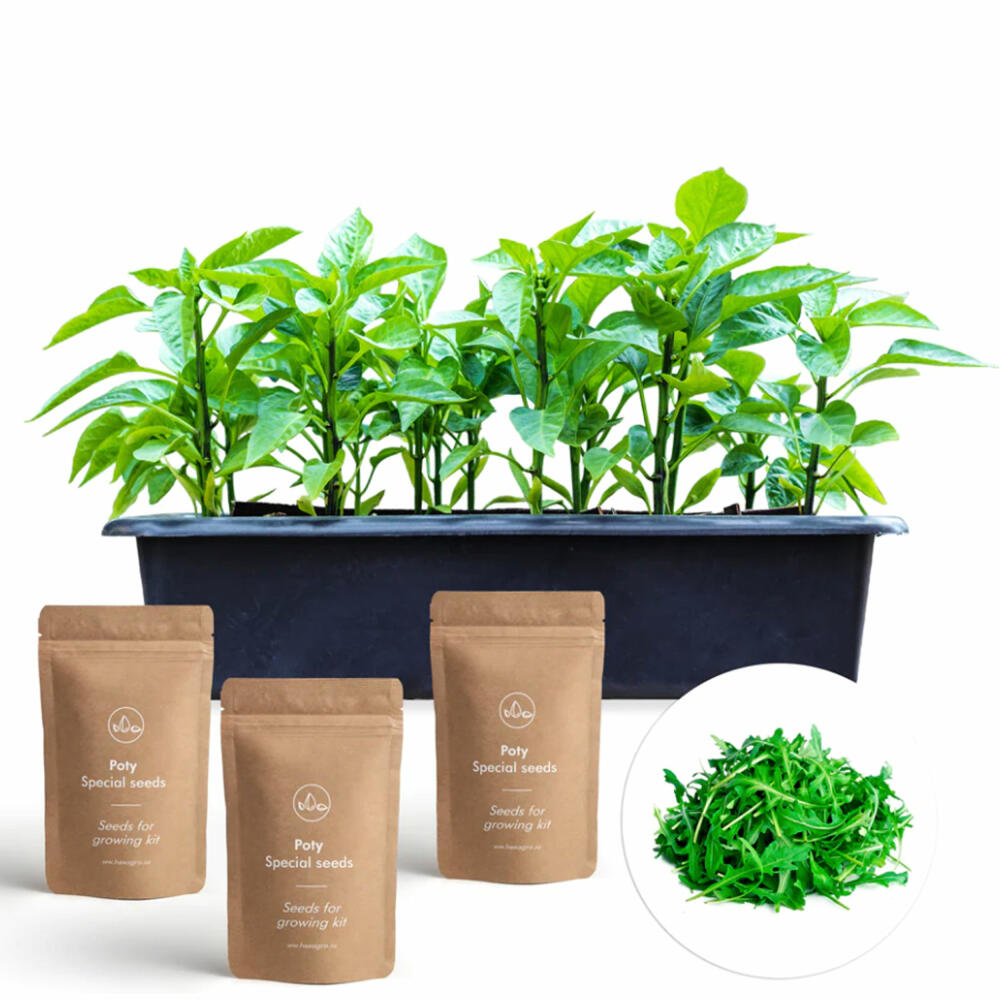 Hexagro cultivation set Tasty, cultivation box with 3 x seeds and coconut substrate, ARGK02