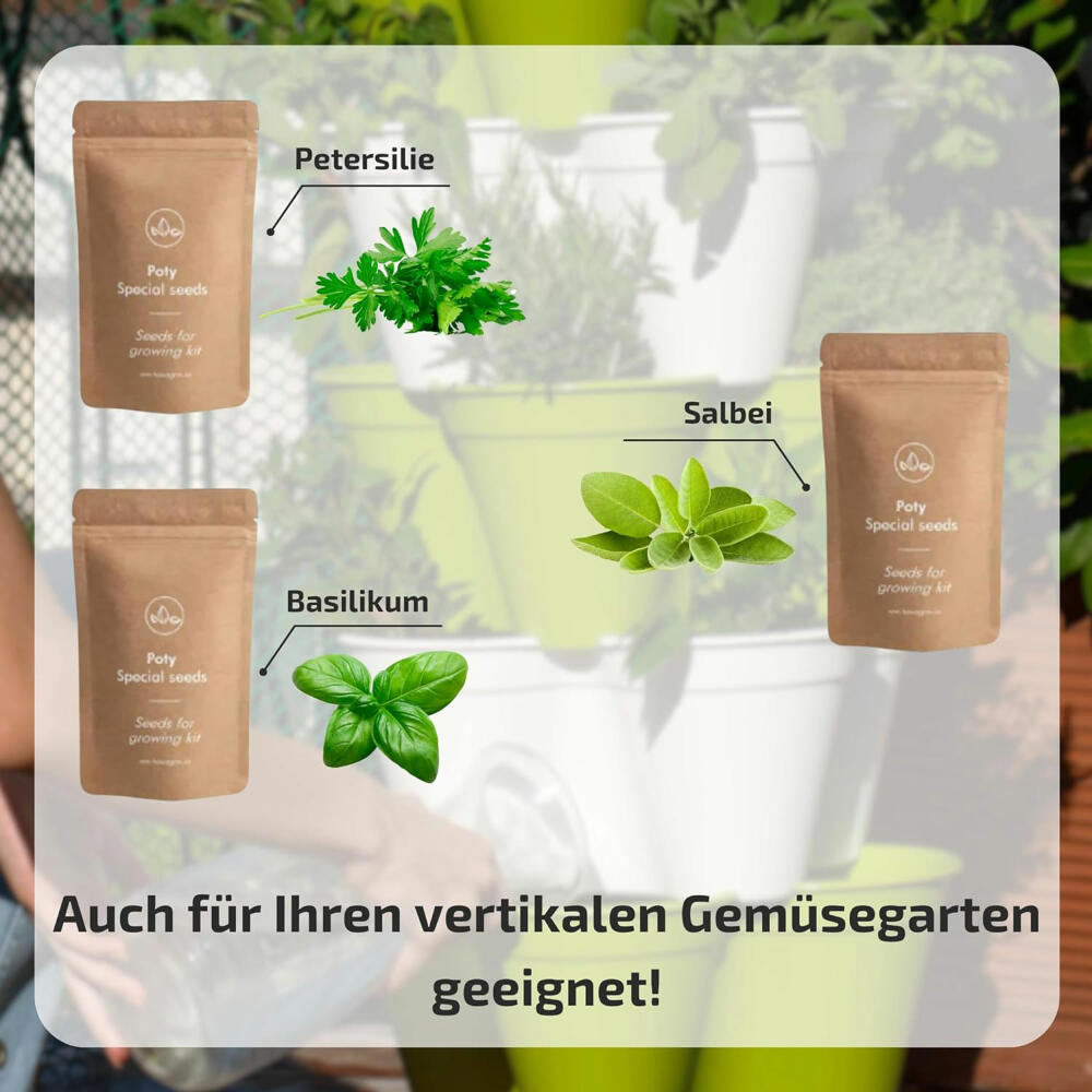 Hexagro Aromatic Growing Kit, Growing Box with 3 x Seeds and Coconut Substrate, ARGK04