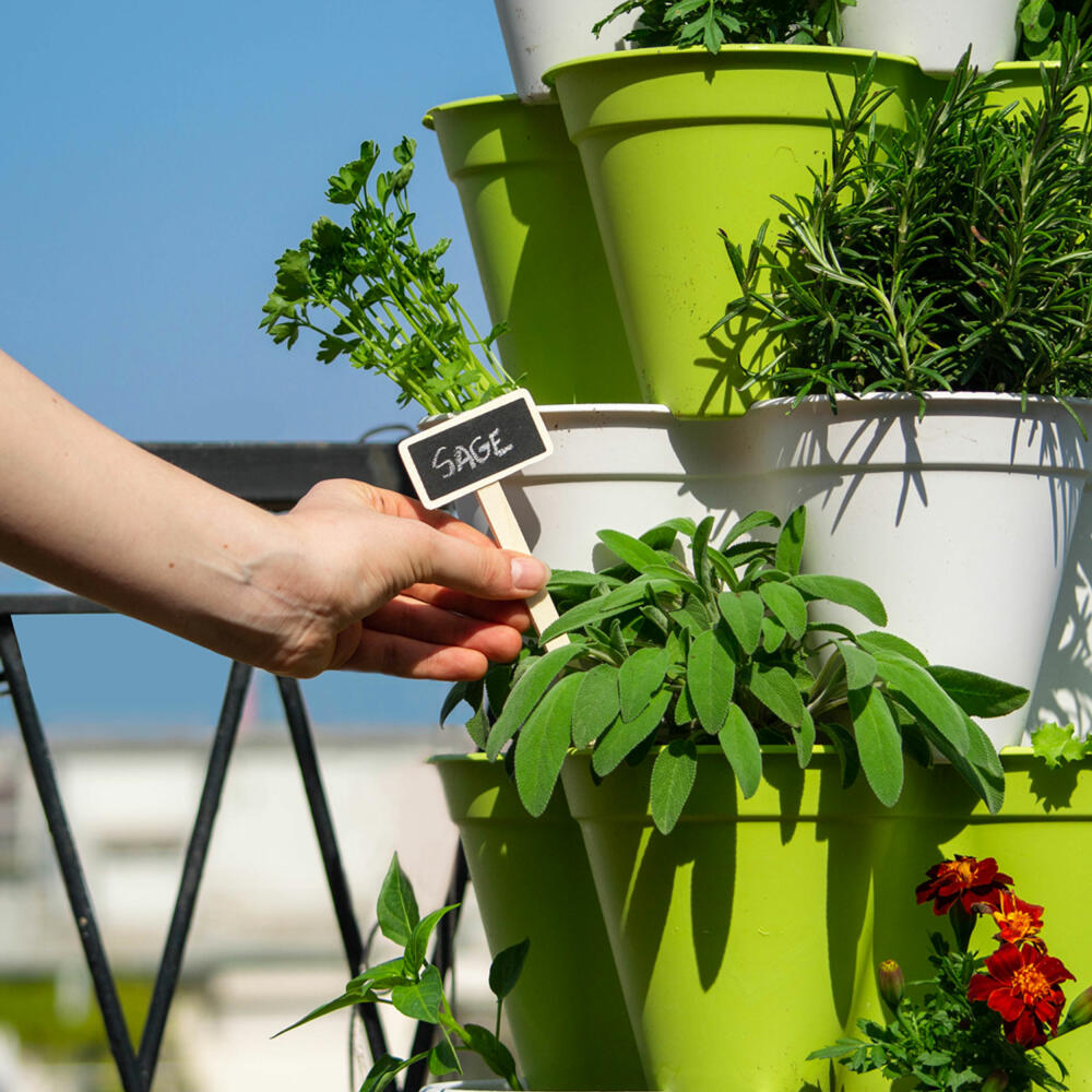 Hexagro Plant Pot Set Poty S, hydroponic garden set with irrigation system, PPS01