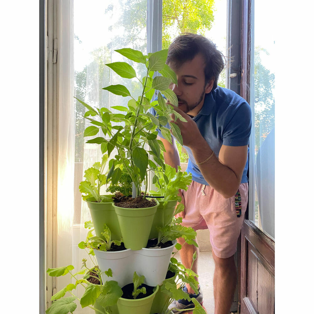 Hexagro Plant Pot Bundle Poty S with Starter Kit, Hydroponic Garden Set with Irrigation System and Accessories, PPS05AMZ