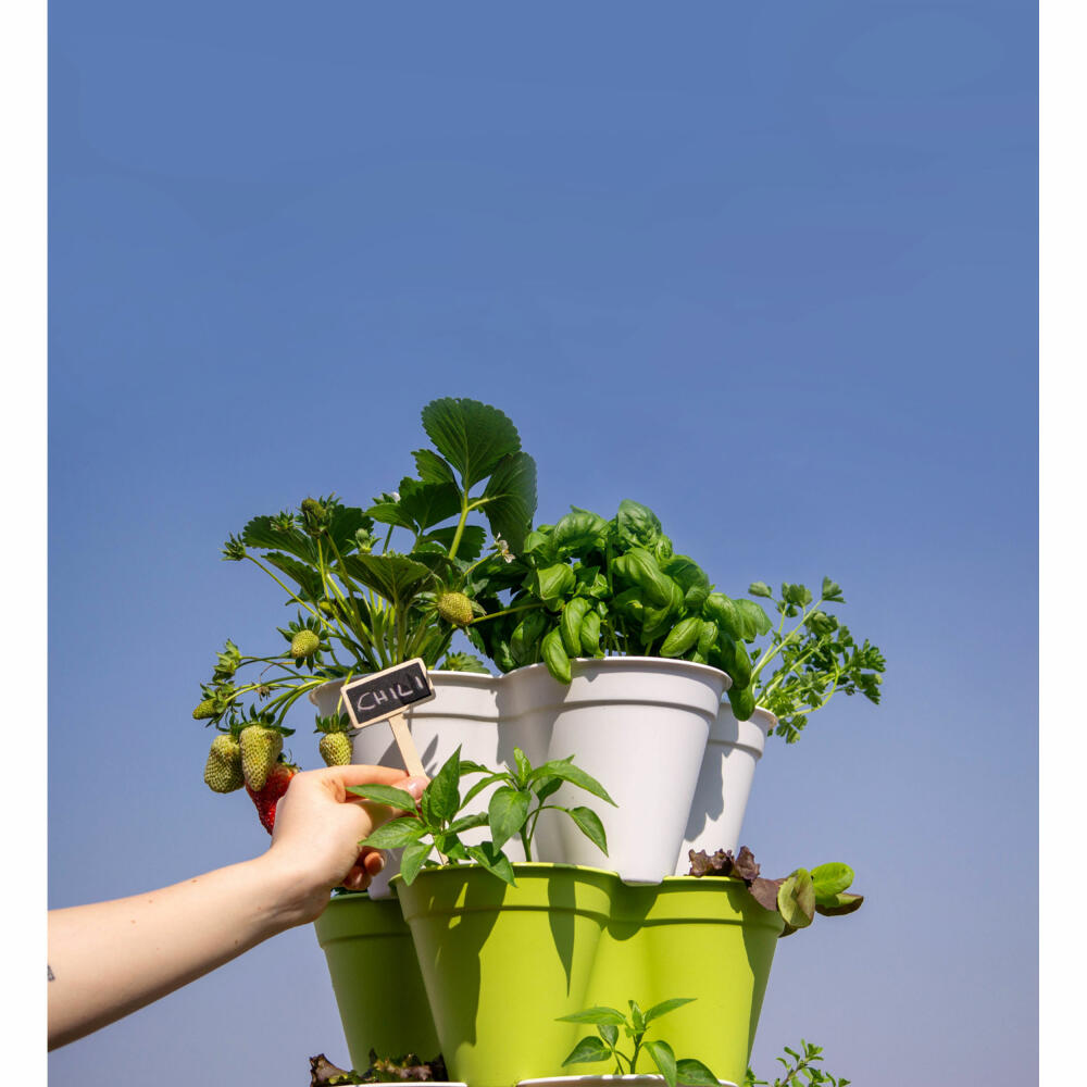 Hexagro Plant Pot Bundle Poty S with Starter Kit, Hydroponic Garden Set with Irrigation System and Accessories, PPS05AMZ