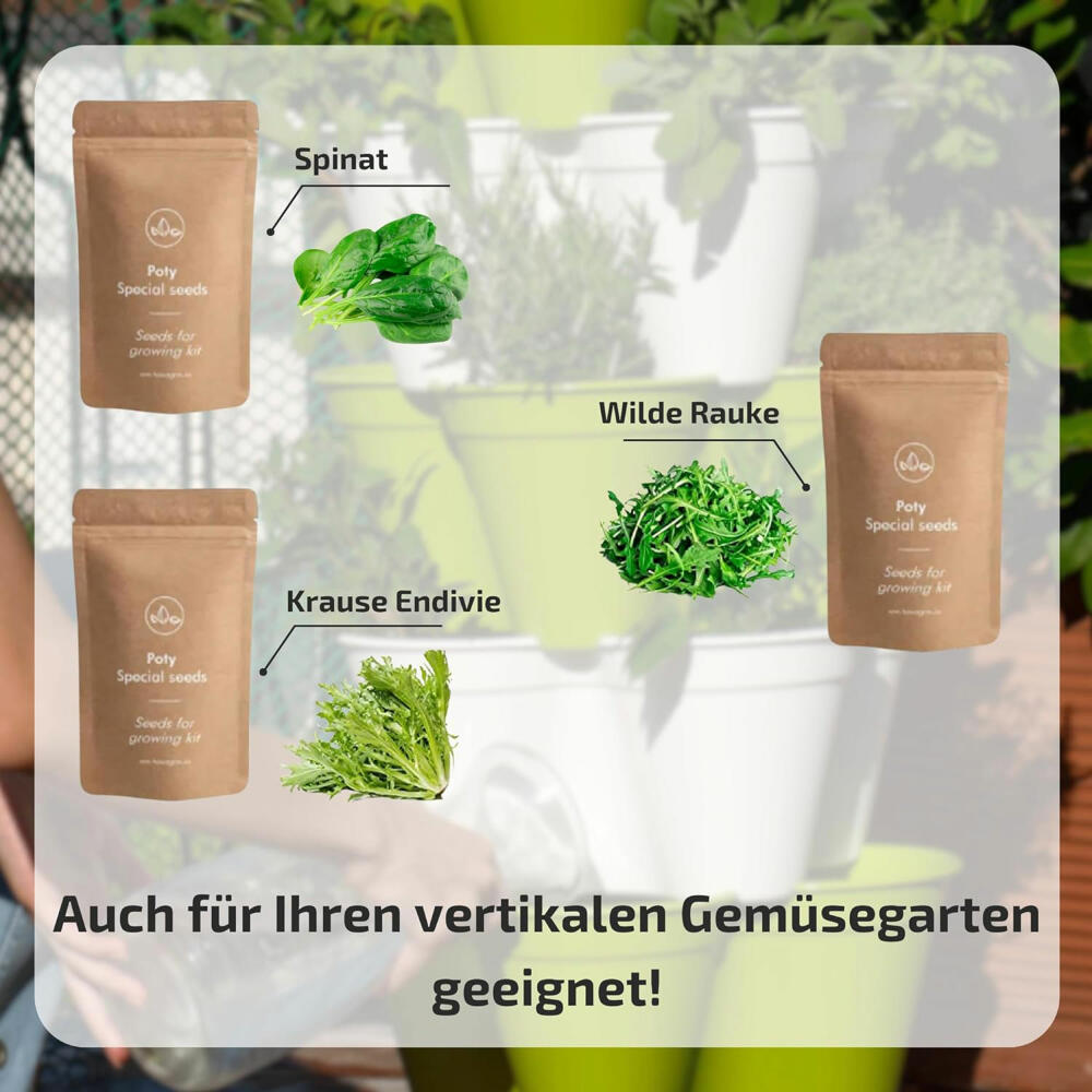 Hexagro cultivation set Tasty, cultivation box with 3 x seeds and coconut substrate, ARGK02