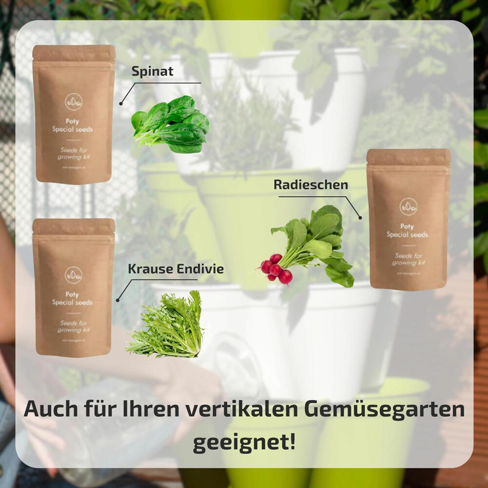 Hexagro cultivation set winter salads, cultivation box with 3 x seeds and coconut substrate, ARGK03