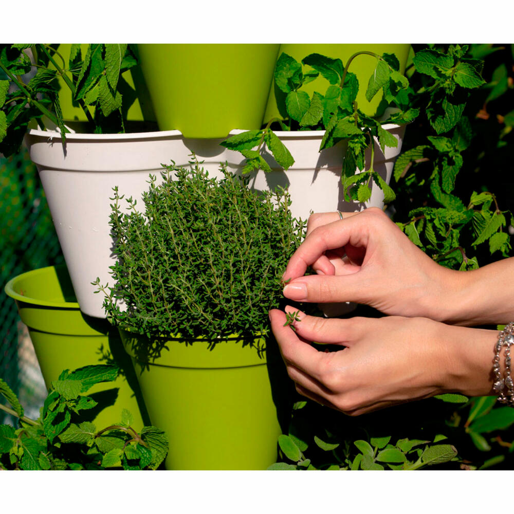 Hexagro Plant Pot Bundle Poty S with Starter Kit, Hydroponic Garden Set with Irrigation System and Accessories, PPS05AMZ