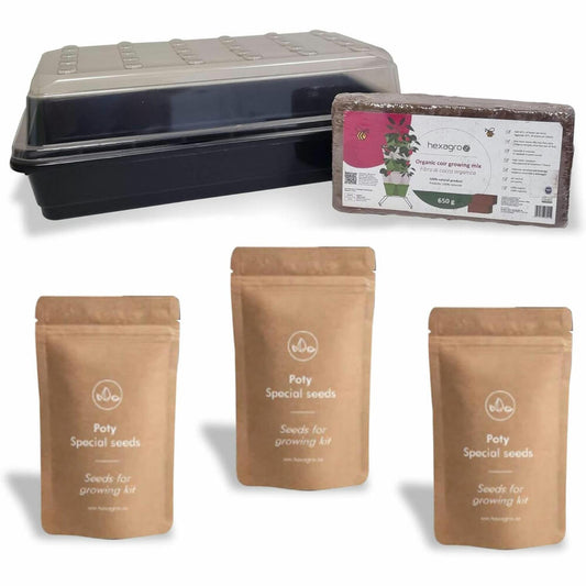 Hexagro cultivation set Spicy, cultivation box with 3 x seeds and coconut substrate, ARGK05