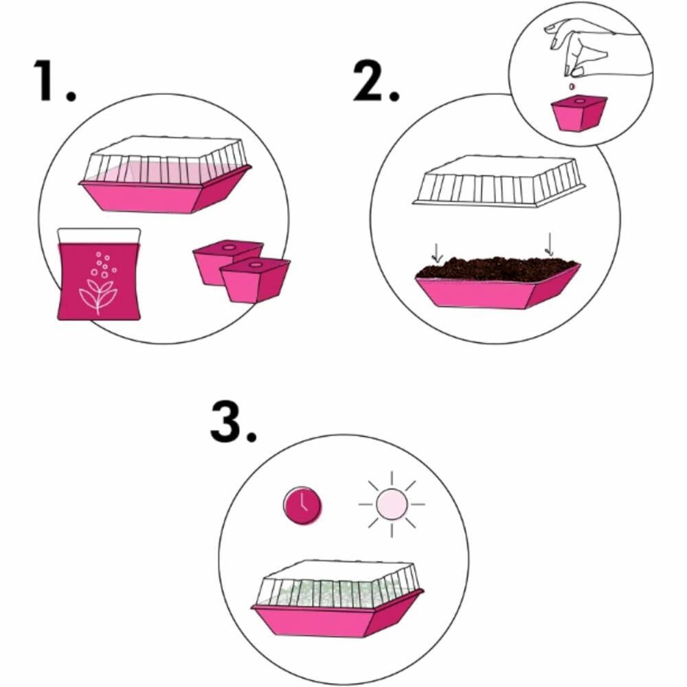 Hexagro cultivation set Spicy, cultivation box with 3 x seeds and coconut substrate, ARGK05