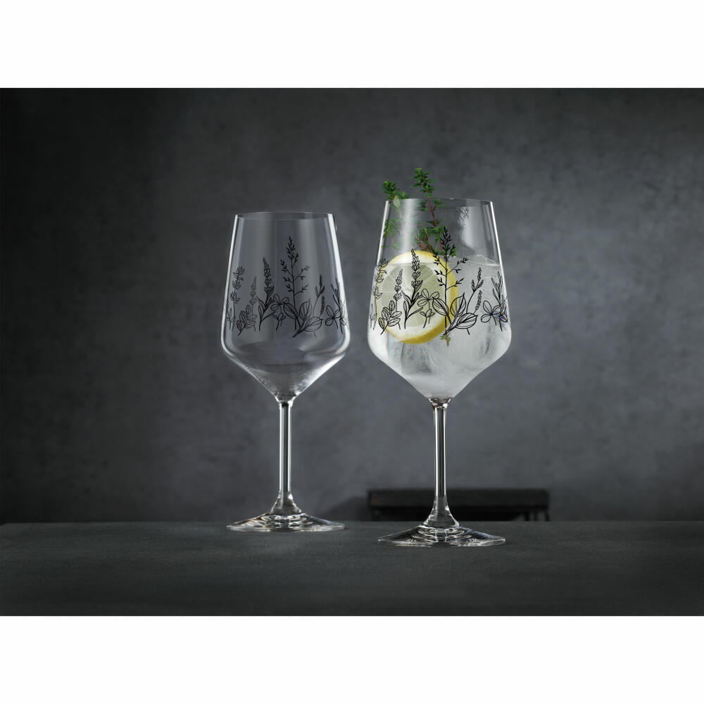 Nachtmann Tattoo wine/spritz glass Botanical Black, set of 2, wine glass, long drink glass, crystal glass, 630 ml, 105723