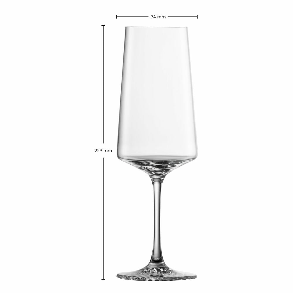 Zwiesel Glas Champagnerglas Echo 4er Set, Kristallglas, Transparent, 395 ml, 123382