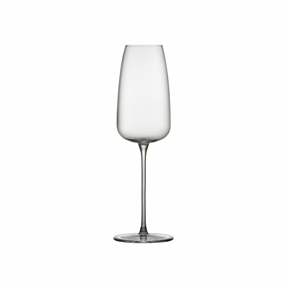 Lyngby Glass Champagne Glass Veneto Set of 2, Champagne Glasses, Glass, Transparent, 360 ml, 31512