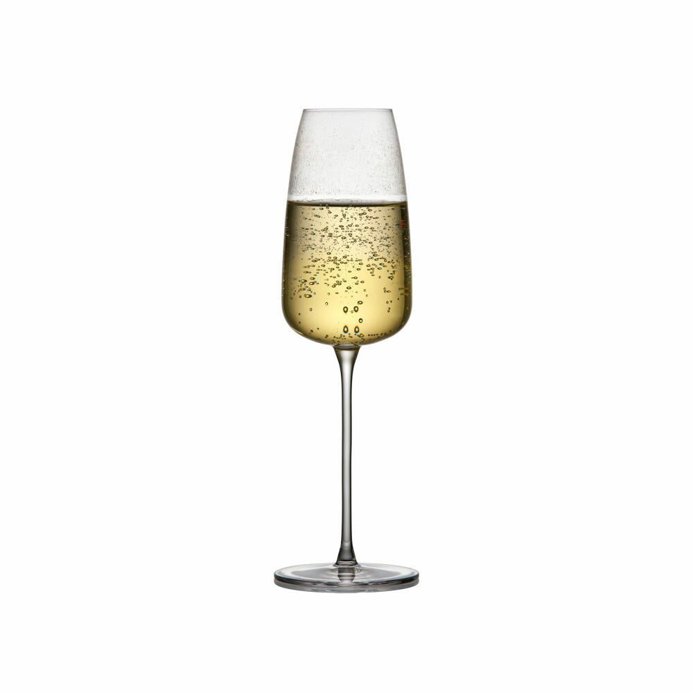 Lyngby Glass Champagne Glass Veneto Set of 2, Champagne Glasses, Glass, Transparent, 360 ml, 31512