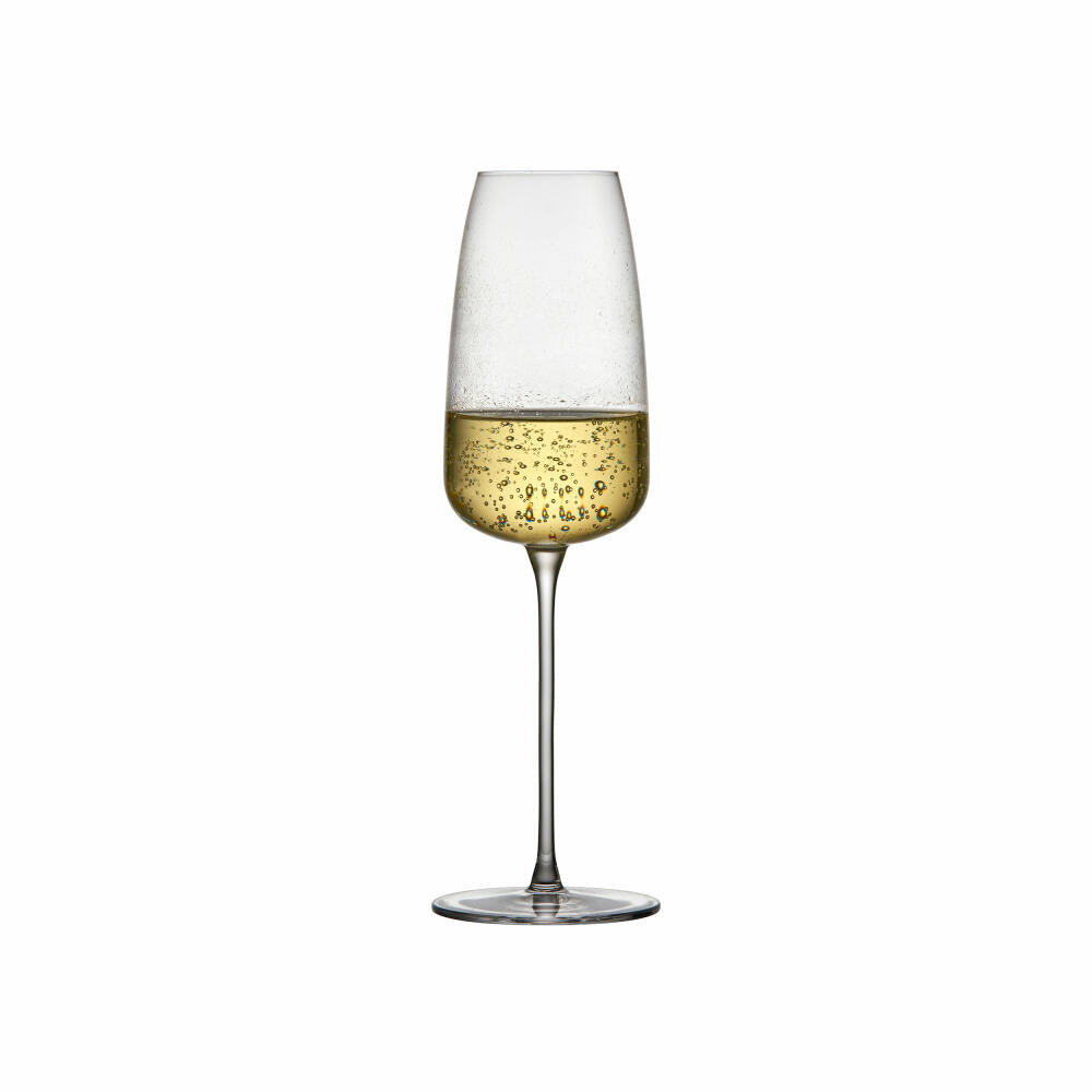 Lyngby Glass Champagne Glass Veneto Set of 2, Champagne Glasses, Glass, Transparent, 360 ml, 31512