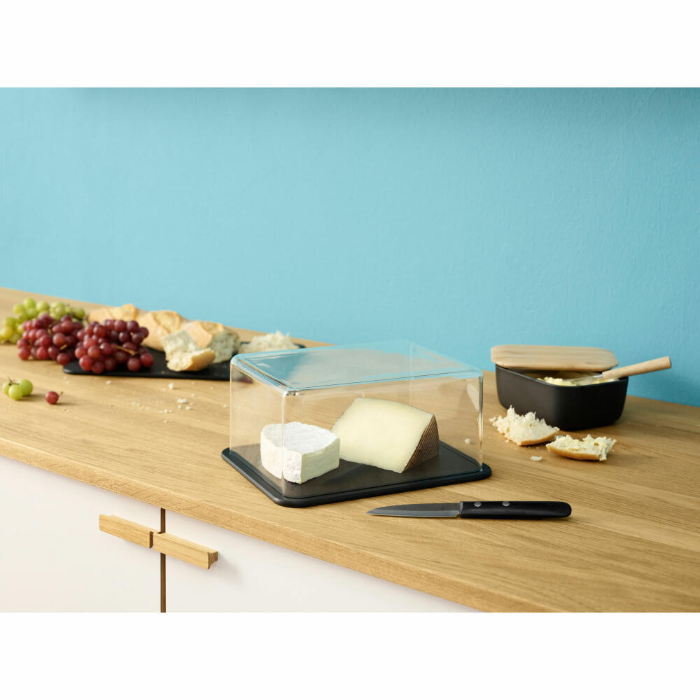 Rig-Tig Käsebox Contain-It, Käseaufbewahrung mit Servierbrett, Acryl, Holzfaser, Black, 23.5 x 19.3 cm, Z00277
