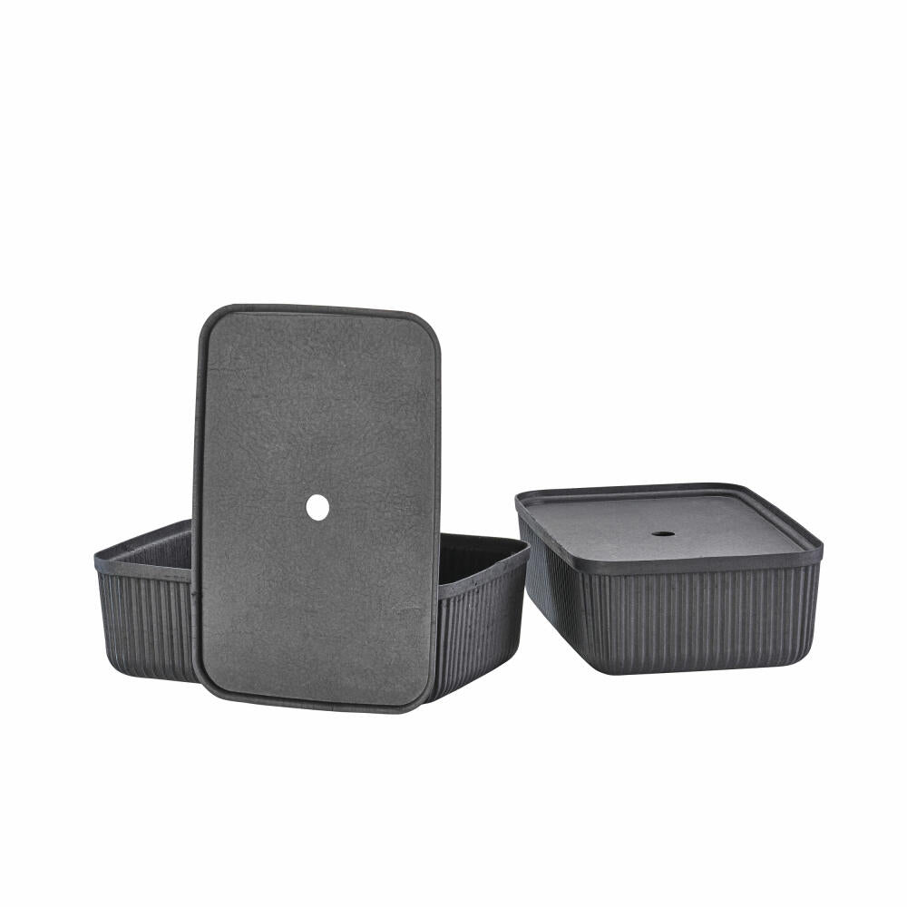 Zone Denmark Storage Box Pulp Black Set of 2, Plant Mass, Black, 48 x 32 cm, 31777