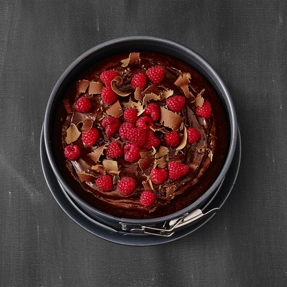 Birkmann Premium Baking Springform mit einem Boden, Spring Form, Kuchenform, Servierboden, Anithaft, 20 cm, 882003