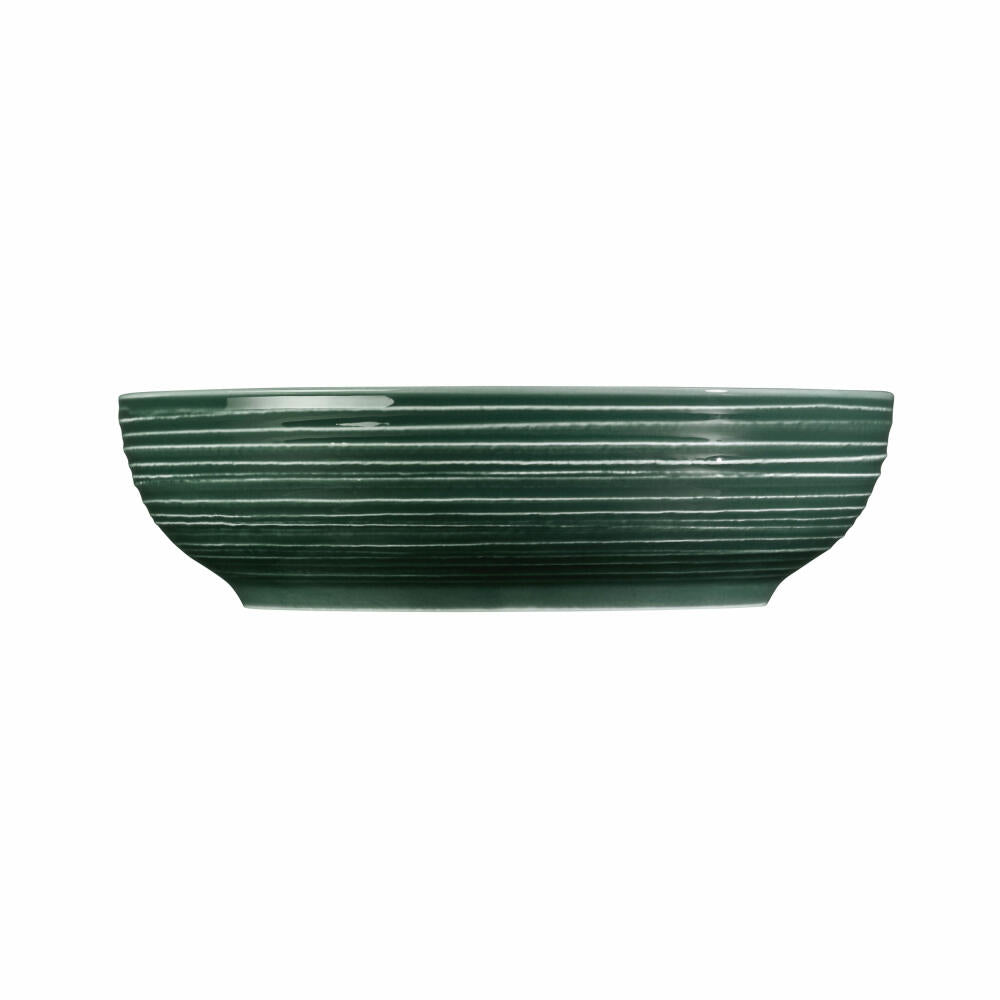 Seltmann Weiden Terra Foodbowl, bowl, porcelain, moss green, Ø 25.5 cm, 001.765020