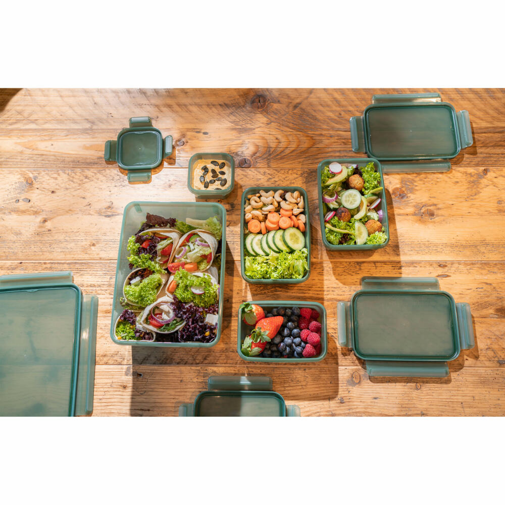 EMSA Clip &amp; Close Eco food storage container, storage container, lunch box, storage container, plastic, green, 0.2 L, N11705