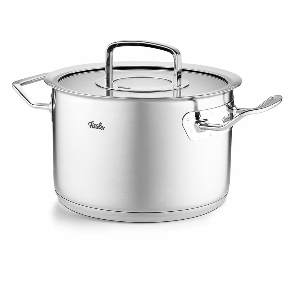 Fissler cooking pot Original-Profi Collection with glass lid, stainless steel 18/10, silver, 20 cm, 084-129-20-000