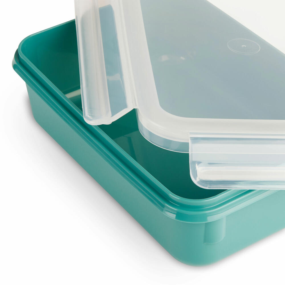 EMSA Clip &amp; Close COLOR EDITION food storage container, storage container, plastic, powder green, 0.8 L, N10127