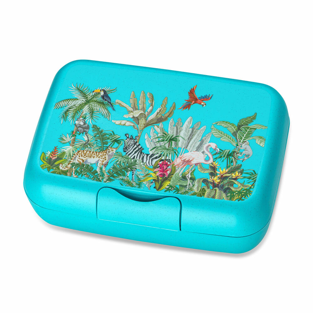 Koziol Lunchbox Candy L Jungle, Brotdose, Kunststoff-Holz-Mix, Organic Turquoise, 1426682